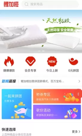 鲤加橙