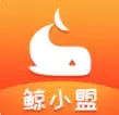 鲸小萌