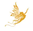 梦步生花
