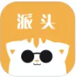 派头