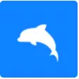海豚打卡