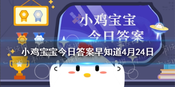  鼓浪屿的得名主要因为 小鸡宝宝今日答案早知道4月24日