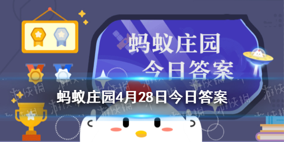  蚂蚁庄园不小心吞下口香糖 蚂蚁庄园今日答案口香糖4.28